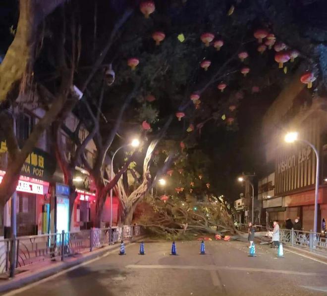 ��·�o�ھW�r��