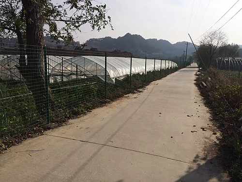 �Ͼ��o�ھW�r��